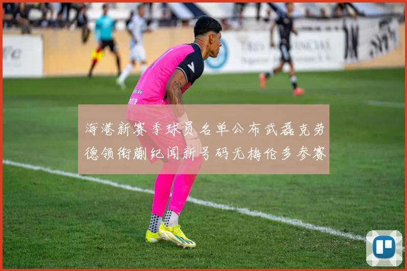 海港新赛季球员名单公布武磊克劳德领衔蒯纪闻新号码无梅伦多参赛