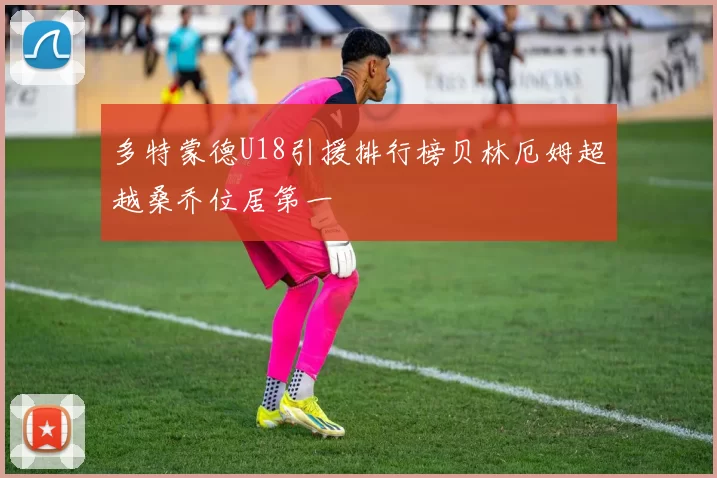 多特蒙德U18引援排行榜贝林厄姆超越桑乔位居第一