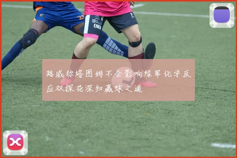 路威称塔图姆不会影响绿军化学反应双探花深知赢球之道