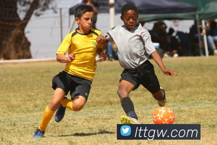 多媒体互动体验